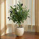 Artificial Plant